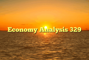 Economy Analysis 329
